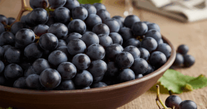 1 Nho 17641549780991536214891 98 0 642 871 Crop 17641550075431755683685