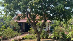 10 Loai Cay Trong Vuon Vo Tinh Thu Hut Ran Gia Dinh Nao Cung Nen Biet 100246