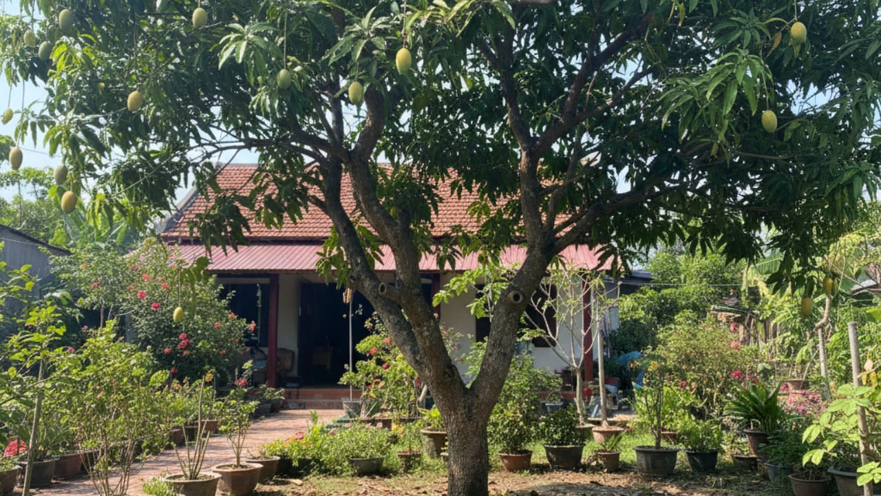 10 Loai Cay Trong Vuon Vo Tinh Thu Hut Ran Gia Dinh Nao Cung Nen Biet 100246