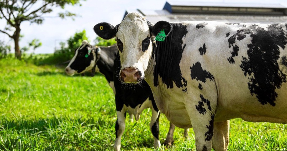 1024 683 1765874207943153084349 101 0 637 1024 Crop 17658744298182122285676