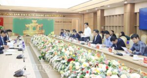 104755 Quang Canh Buoi Lam Viec 1405541820251218185011