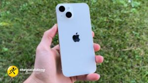 12 1638997679265506845