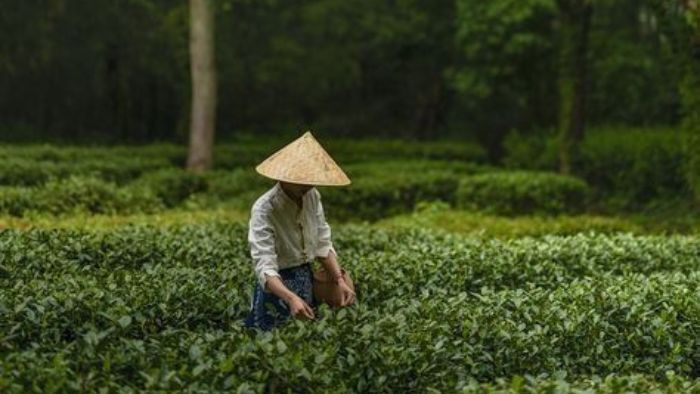 137C3C104Ab3613F8Ddb1Be3F81A276D 6