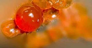 14A 1762864953451378403755 27 0 377 560 Crop 17628649648261910167528