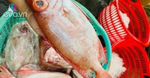 1761223995 668 Thumbnail Width1422Height1066 Auto Crop Watermark