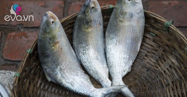 1761397501 428 Thumbnail Width896Height672 Auto Crop Watermark