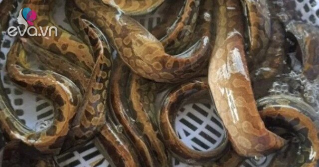 1761573735 635 Thumbnail Width793Height595 Auto Crop Watermark