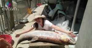 1761658732 866 Local Width640Height480 Auto Crop Watermark