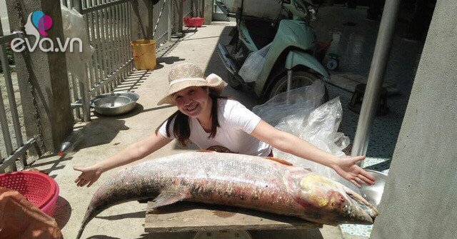 1761658732 866 Local Width640Height480 Auto Crop Watermark