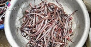 1761743878 968 Thumbnail Width3204Height2403 Auto Crop Watermark