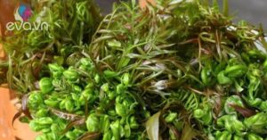 1762005980 642 Thumbnail Width879Height659 Auto Crop Watermark