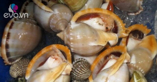 1762085636 101 Thumbnail Width578Height434 Auto Crop Watermark