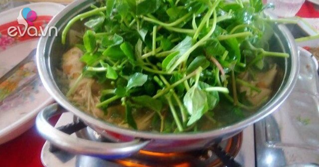 1762262553 315 Thumbnail Width740Height555 Auto Crop Watermark