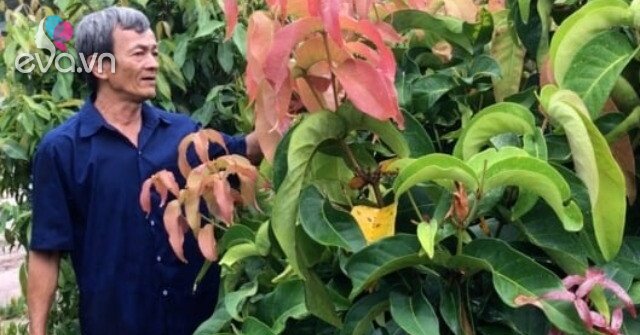 1762441228 327 Thumbnail Width530Height397 Auto Crop Watermark