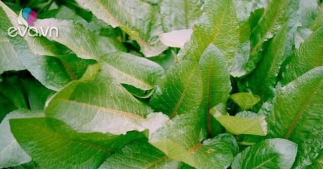 1762610711 217 Thumbnail Width719Height539 Auto Crop Watermark