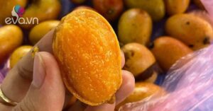 1762697470 977 Thumbnail Width1523Height1142 Auto Crop Watermark