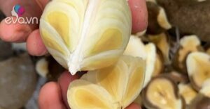 1763126571 699 Thumbnail Width535Height401 Auto Crop Watermark