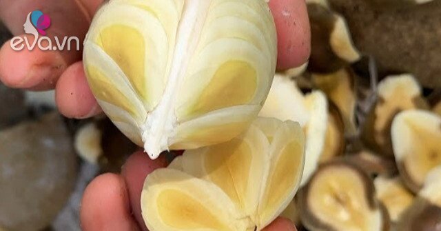 1763126571 699 Thumbnail Width535Height401 Auto Crop Watermark