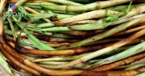 1763297406 221 Thumbnail Width1886Height1414 Auto Crop Watermark