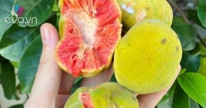 1763561603 390 Thumbnail Width1160Height870 Auto Crop Watermark