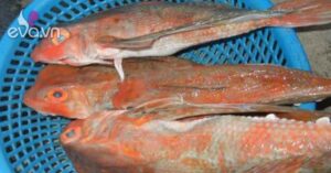 1763820009 422 Thumbnail Width662Height496 Auto Crop Watermark