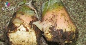 1763822918 257 Thumbnail Width660Height495 Auto Crop Watermark