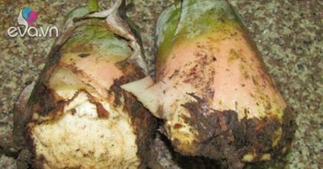 1763822918 257 Thumbnail Width660Height495 Auto Crop Watermark