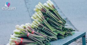 1763996770 582 Thumbnail Width1788Height1341 Auto Crop Watermark