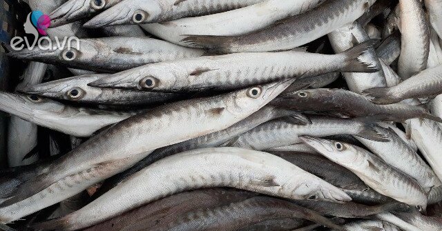 1764079693 849 Thumbnail Width1269Height952 Auto Crop Watermark