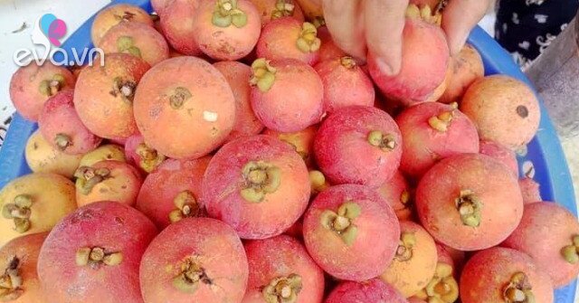 1764250598 809 Thumbnail Width713Height535 Auto Crop Watermark