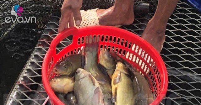 1764338165 484 Thumbnail Width565Height424 Auto Crop Watermark