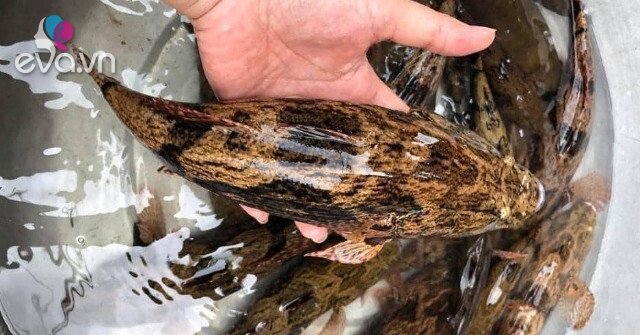 1764423934 701 Thumbnail Width936Height702 Auto Crop Watermark