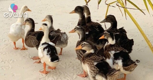 1764551684 895 Thumbnail Width1058Height793 Auto Crop Watermark