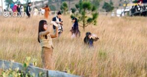 1765004843 401 Thumbnail Width1188Height891 Auto Crop Watermark