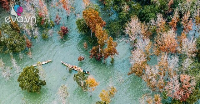 1765031652 929 Thumbnail Width1801Height1351 Auto Crop Watermark