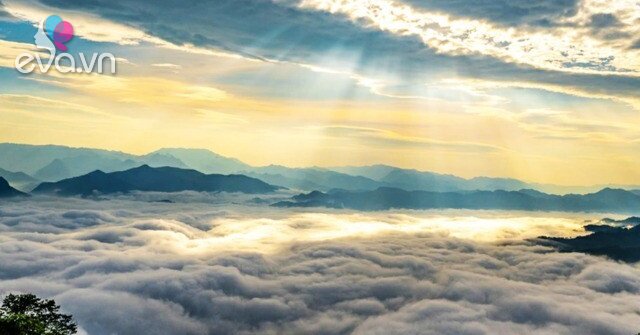 1765073738 430 Thumbnail Width916Height687 Auto Crop Watermark