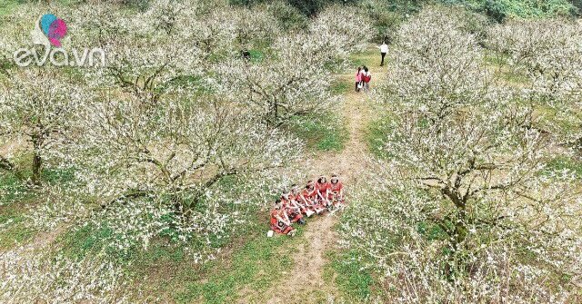 1765150829 246 Thumbnail Width1357Height1018 Auto Crop Watermark