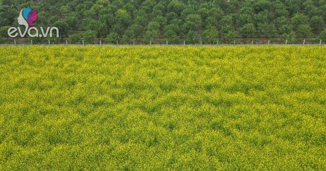 1765178440 302 Thumbnail Width943Height707 Auto Crop Watermark