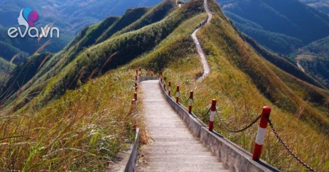 1765611422 574 Thumbnail Width803Height603 Auto Crop Watermark