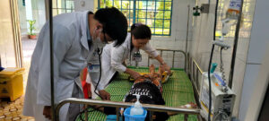 1775328009 phong chong dich