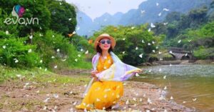 1776672862 774 thumbnail width1543height1157 auto crop watermark