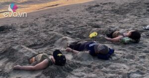 1780286216 281 thumbnail width1286height964 auto crop watermark