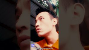Hoa Bằng Lăng| Quang Hùng Mixxing 1 1783305647 Maxresdefault