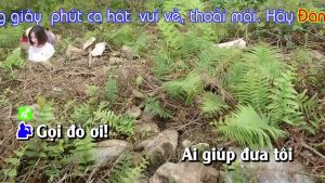 Gọi Đò Quang Hùng 1 1783364110 Maxresdefault