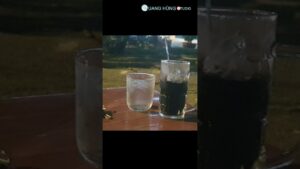 1790669585 maxresdefault