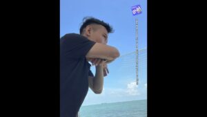 COVER MIXXING | AI MANG CÔ ĐƠN ĐI | QUANG HÙNG 1 1791261190 maxresdefault
