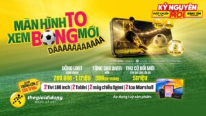 1QTV2028129639158182560936455