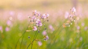 1D1D7Ff3210C801382D5357Dc069Fb55 3