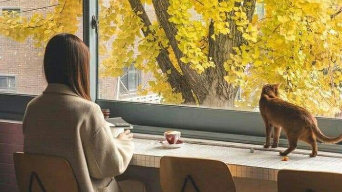 1F2F368086111D08E2157A8Ab2B8F034 16