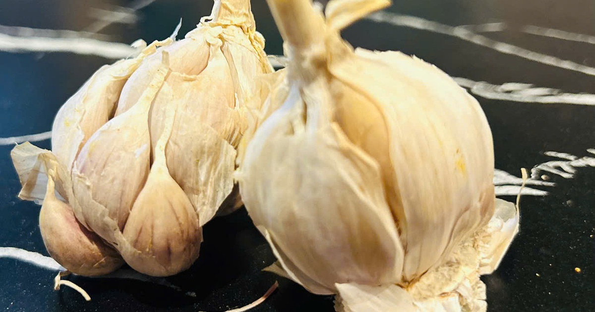 1Toi Song 17628678837392060391613 95 0 897 1284 Crop 1762867979471430472314